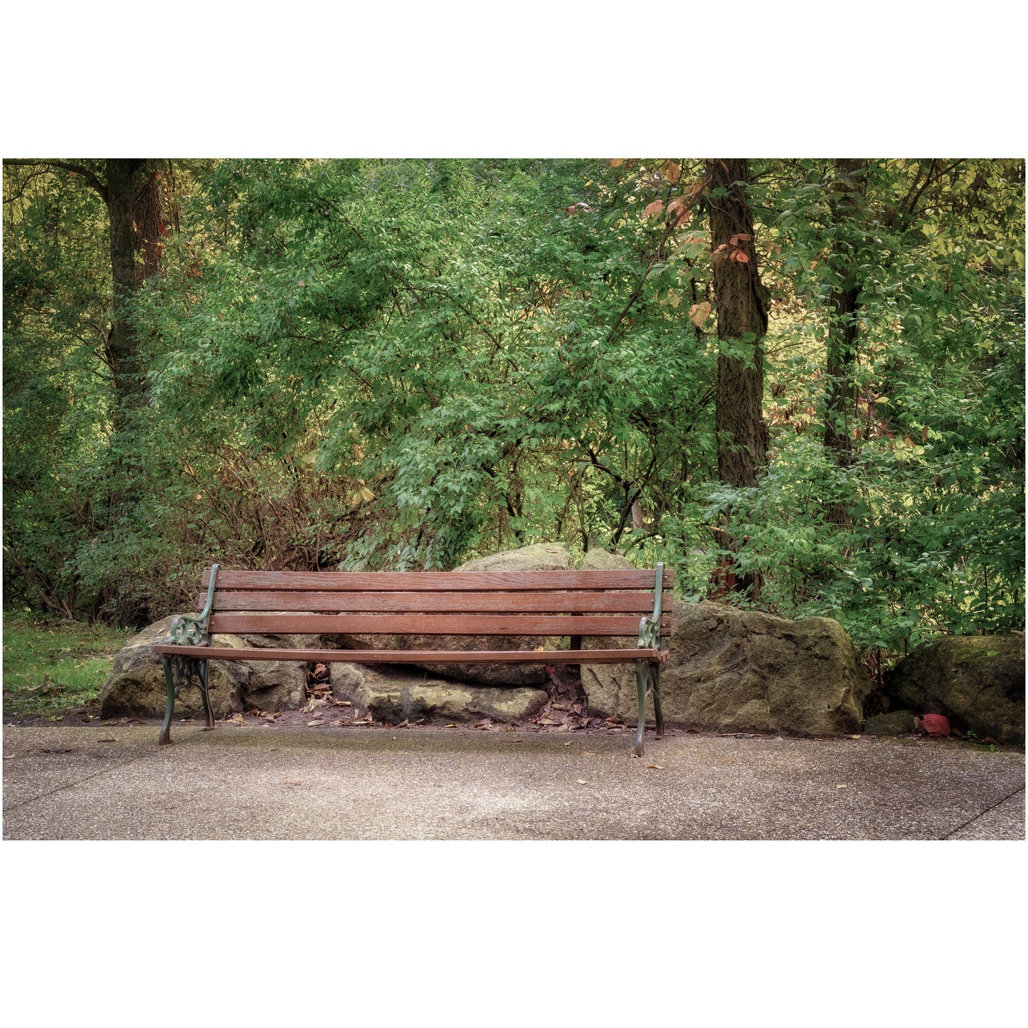 park bench photo print