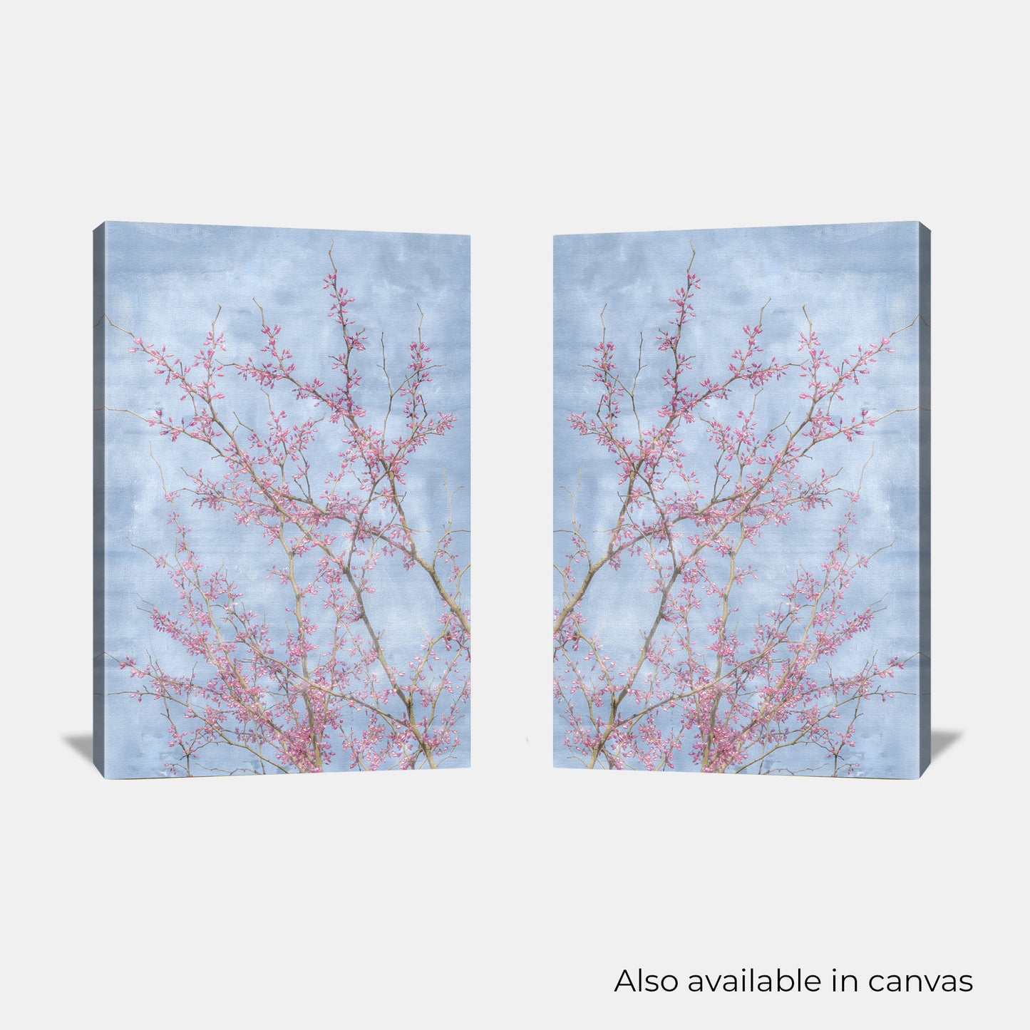 Redbud Branches Print Set of 2