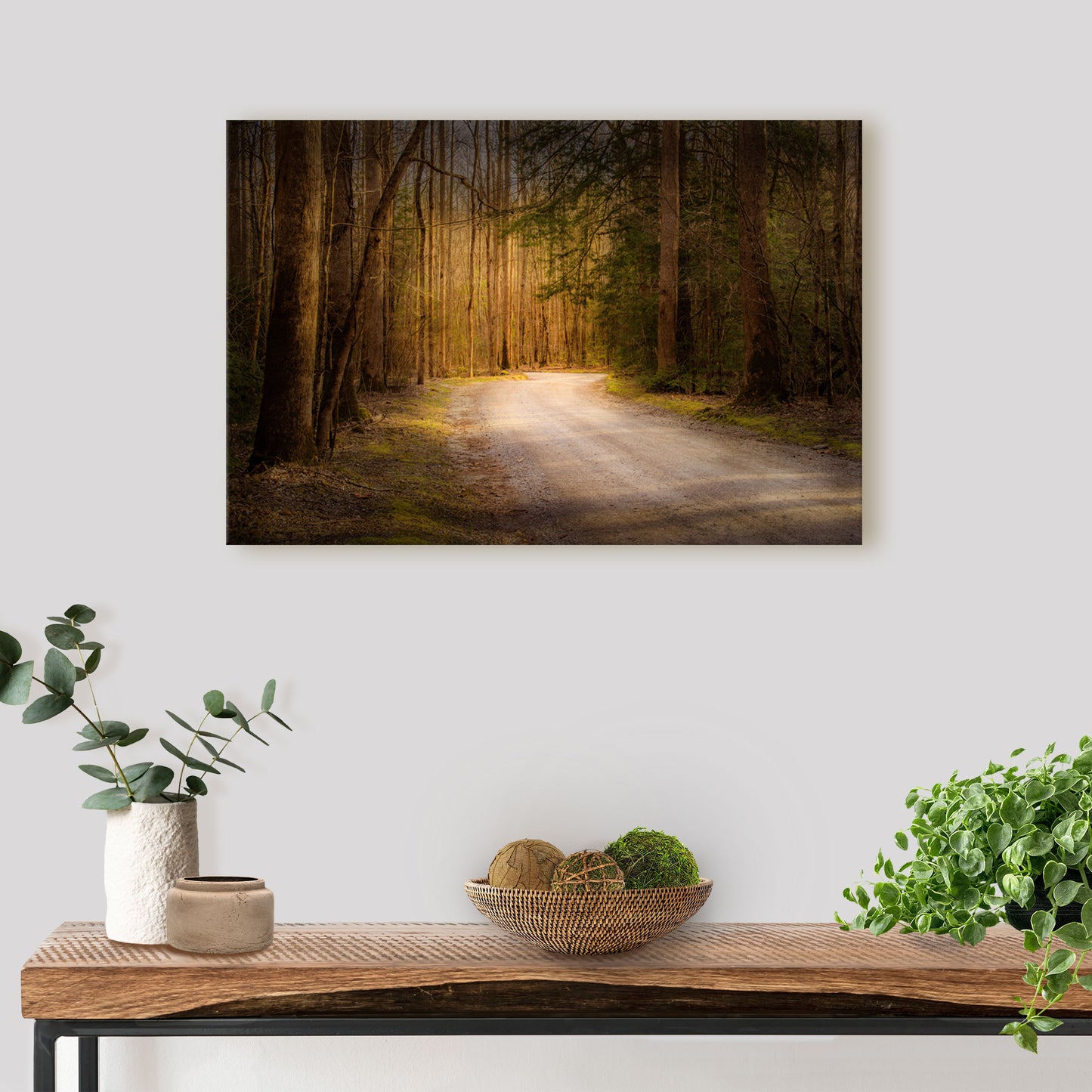Canvas wall art print featuring Roaring Fork Nature Trail in the Great Smoky Mountains National Park