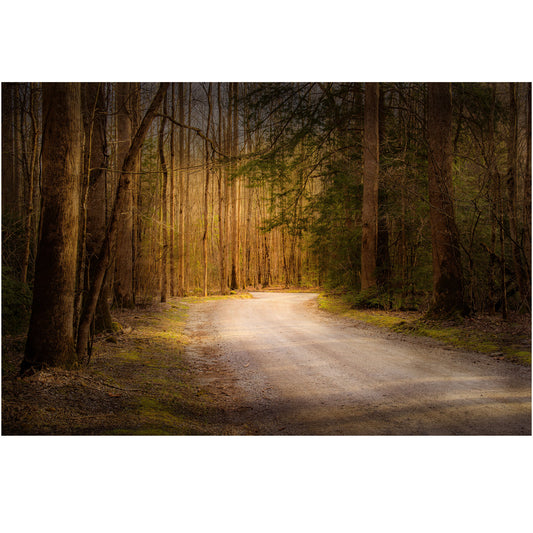 Roaring Fork Road in the Great Smoky Mountains National Park photo in a dark and moody style