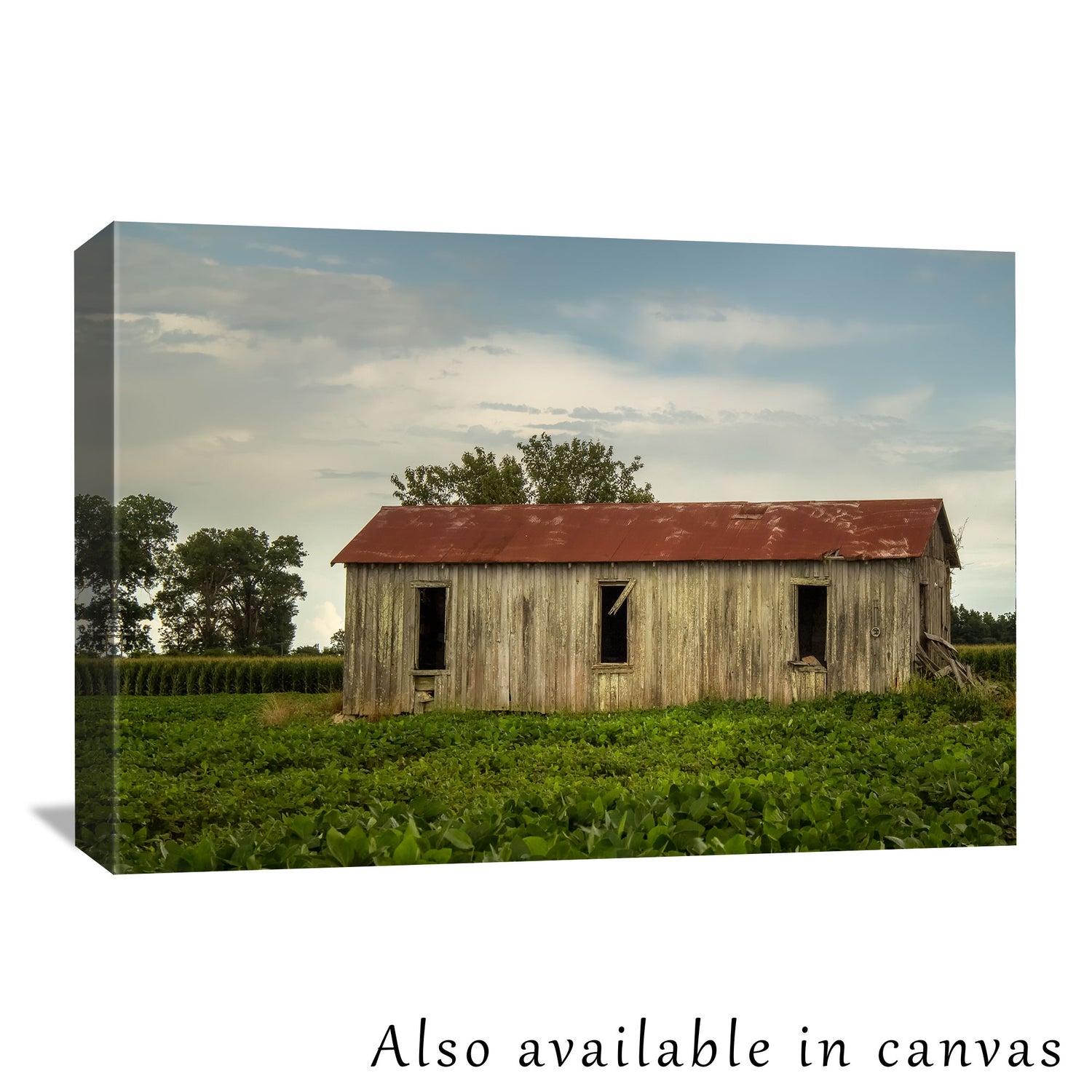 The architectural photograph is beautifully presented on a gallery-wrapped canvas, showing this photograph is also available as a canvas print for those interested in a ready-to-hang solution.