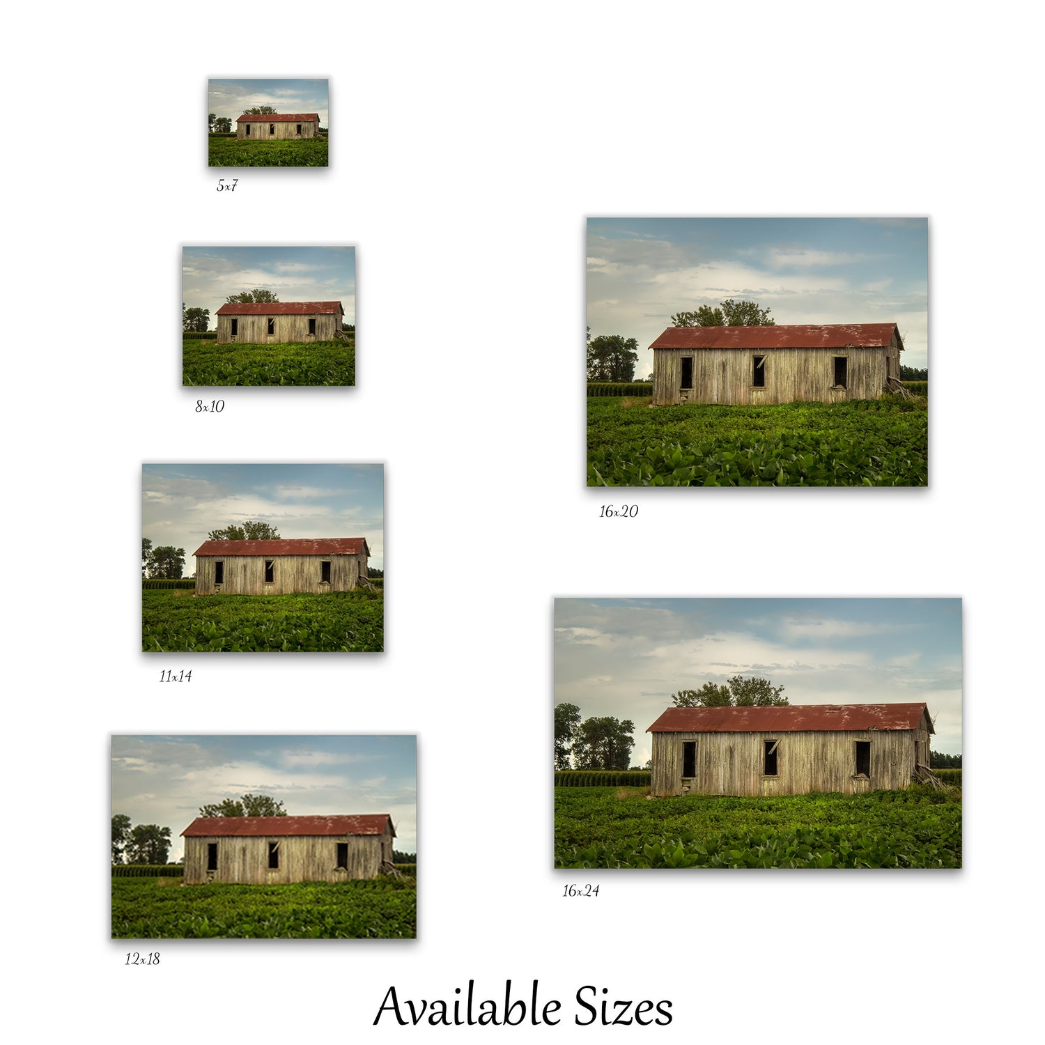 Visual representation of sharecropper shack wall art print sizes available: 5x7, 8x10, 11x14, 12x18, 16x20, and 16x24.