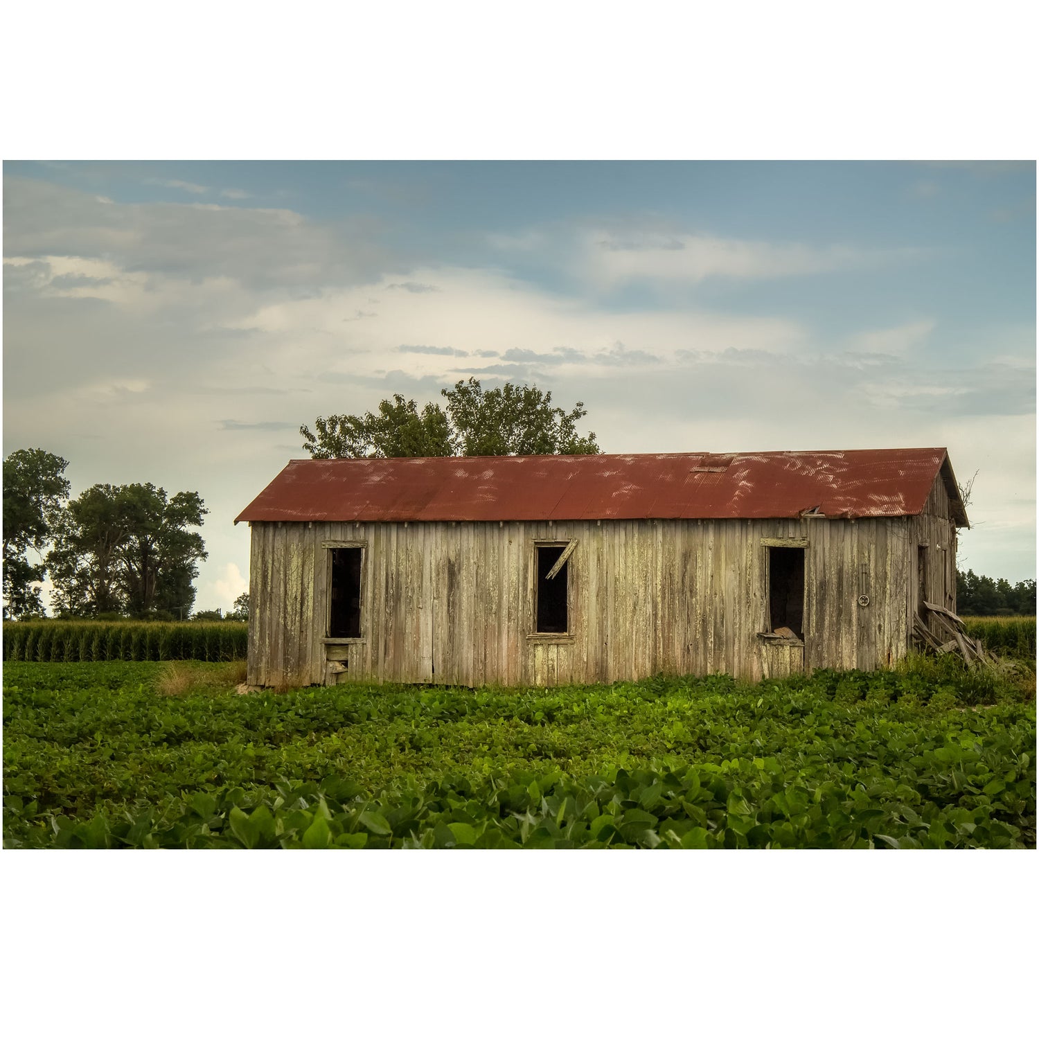 mississippi sharecropper shack on a plantation