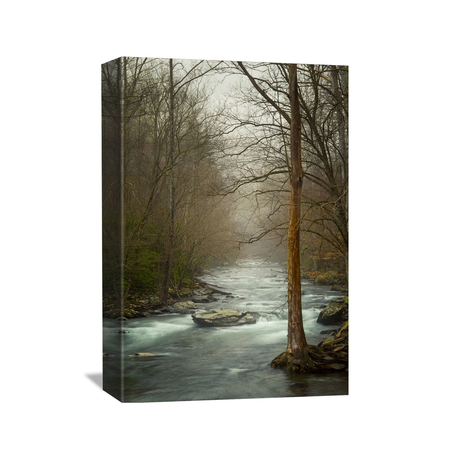 Decorate your walls with the calming scenery of the Little River flowing through the Great Smoky Mountains, beautifully reproduced on canvas for art lovers and nature enthusiasts alike.