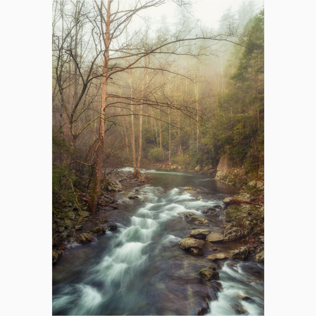 sunrise on little river in the smoky mountains