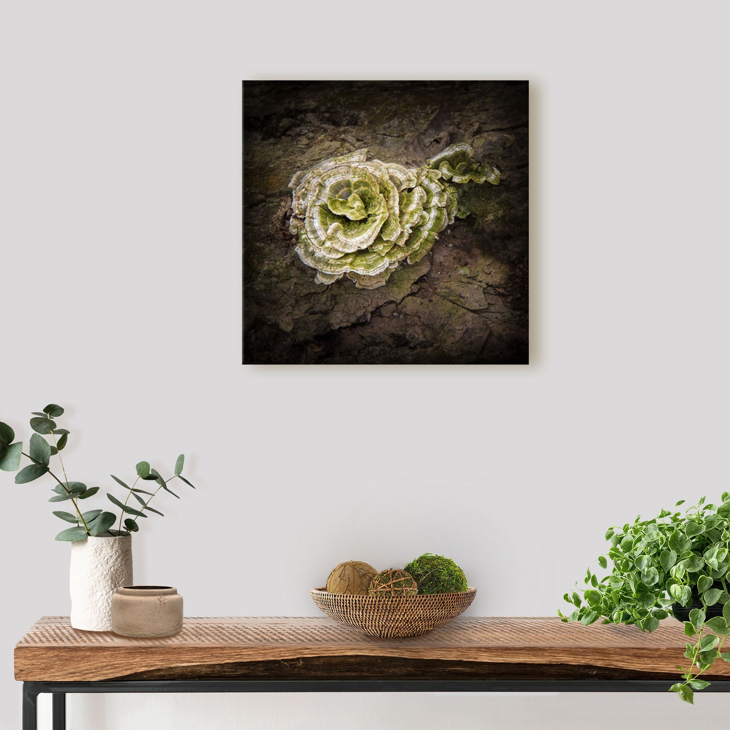 Nature canvas wall art print featuring a turkey tail mushroom