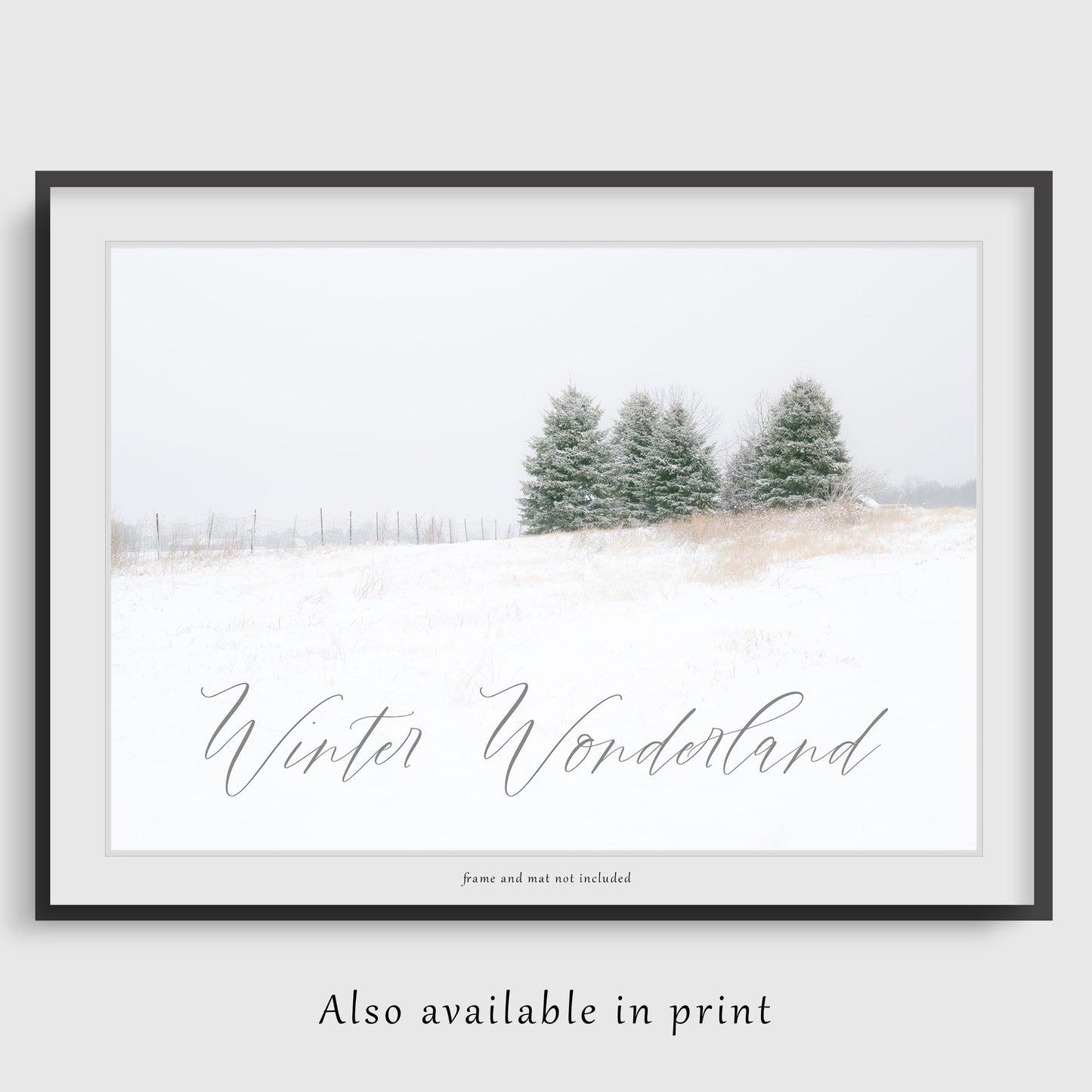 Winter Wonderland Pine Trees Canvas