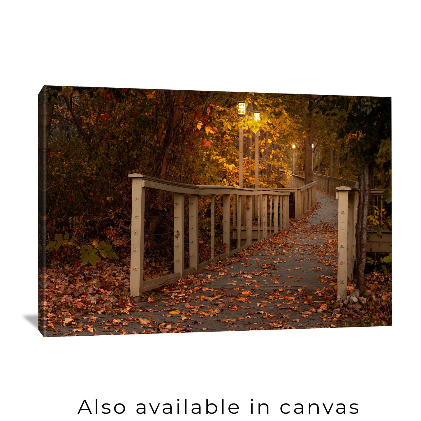 Woodlawn Beach Boardwalk Print