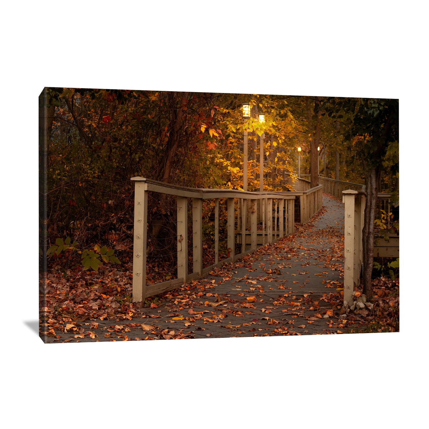 The canvas of Woodlawn Beach Boardwalk presents a morning-lit pathway encircled by autumnal trees, making it a fitting addition to fall-themed wall art for your living space.