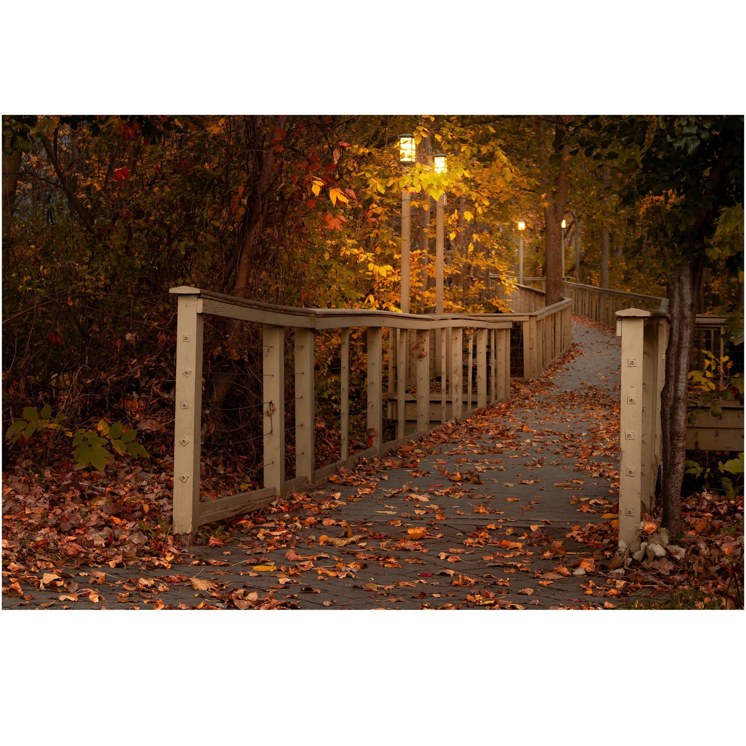 Fall at the Woodlawn Beach Boardwalk in New York